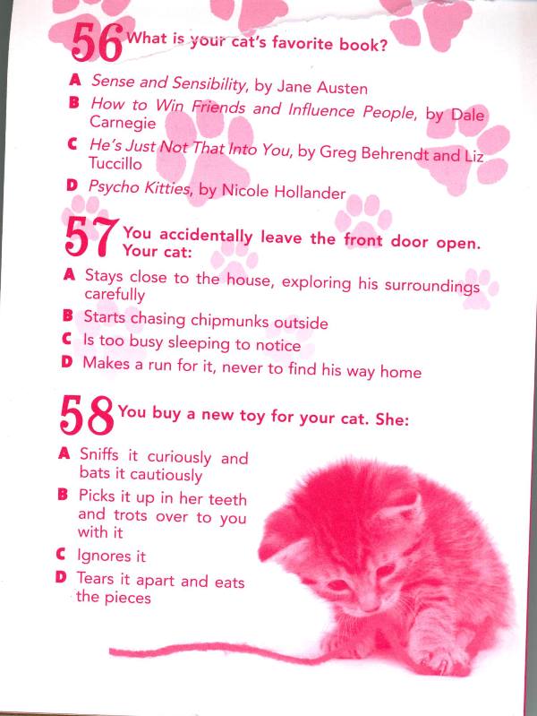 testing your cat