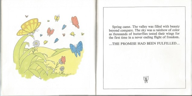 butterflies in the spring