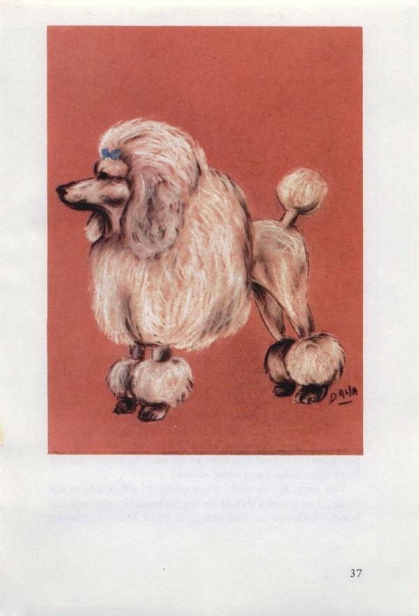 Clip a Poodle painting