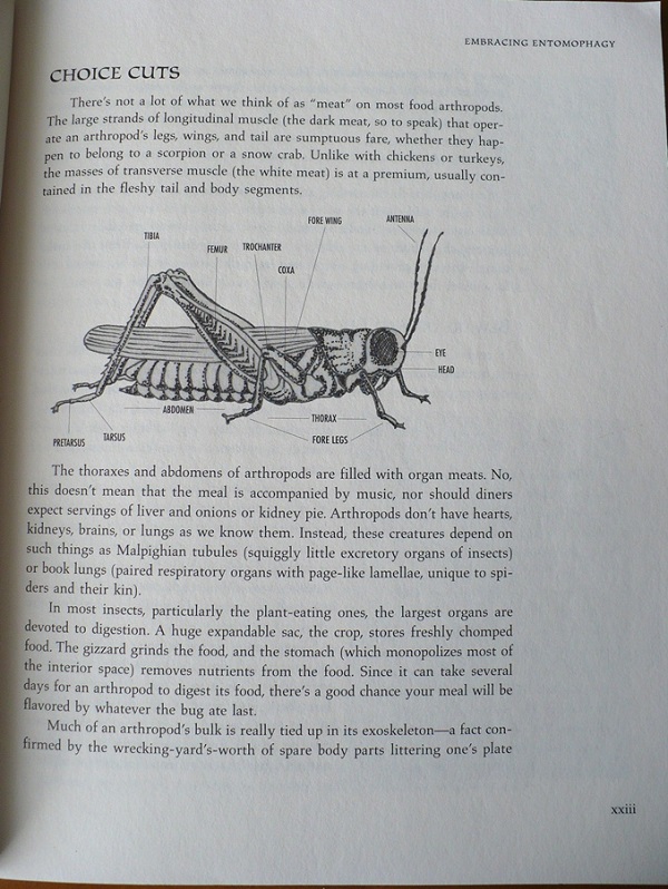 Choice cuts of grasshopper