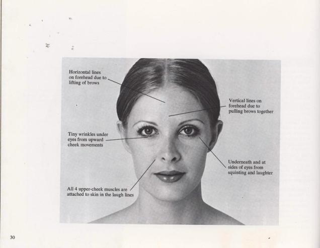 facial stress points