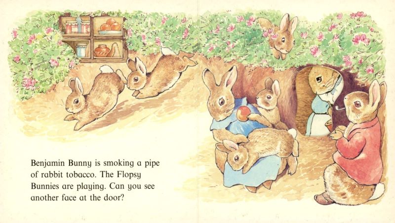 peter rabbit and smoking