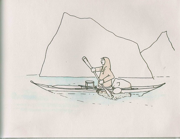 taking seal to shore