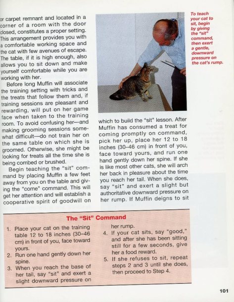 how to make a cat "sit"