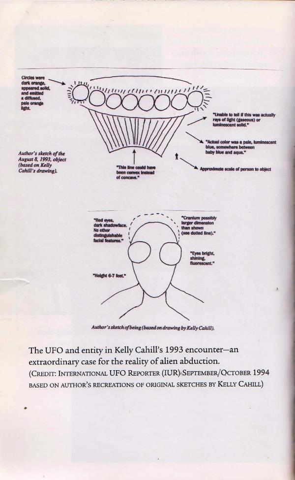 artist's rendering of alien