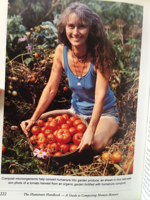 Growing tomatoes from humanure
