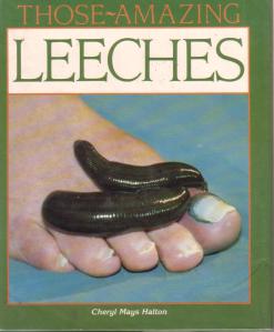 Leeches