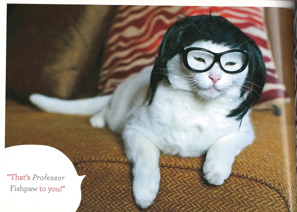 Kitty Wigs professor