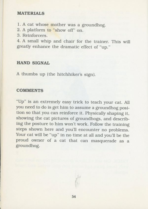 supplies for cat trick