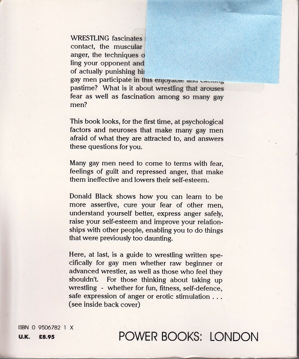 Wrestling for Gay Guys back cover