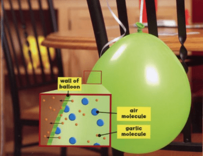 mystery smell balloon science