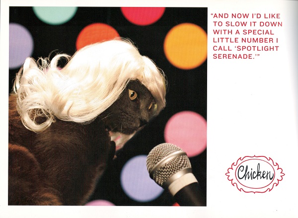 kitty wigs microphone