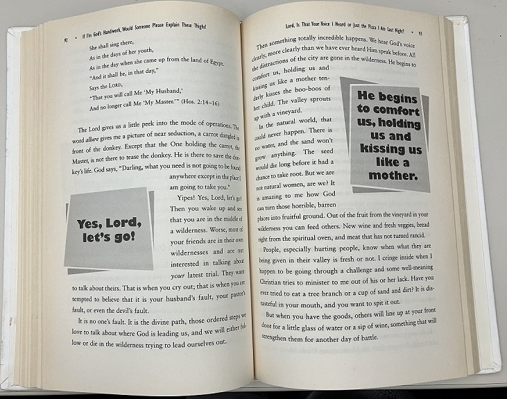 Gods Handiwork excerpt