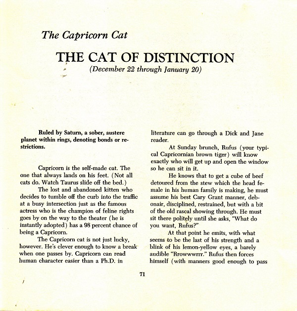 Capricorn - the cat of distinction