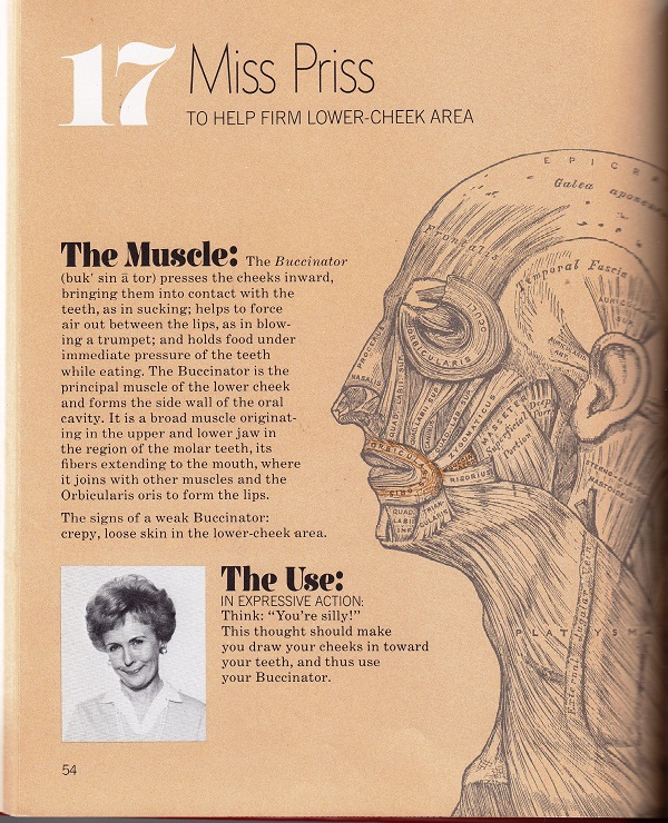 firm lower-cheek area