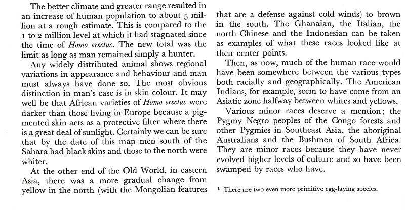 From the Beginning excerpt