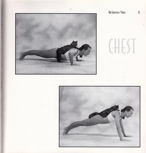 chest exercises