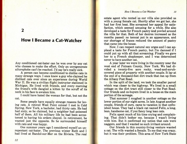 How I became a cat watcher
