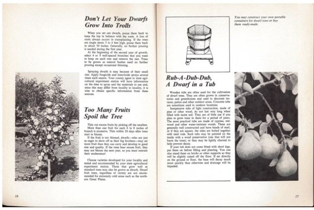 Don't let your dwarfs grow into trolls