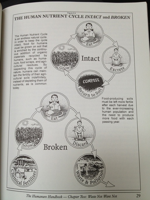 Human nutrient cycle