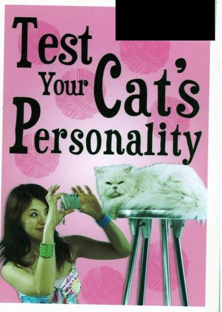 test your cat's personality
