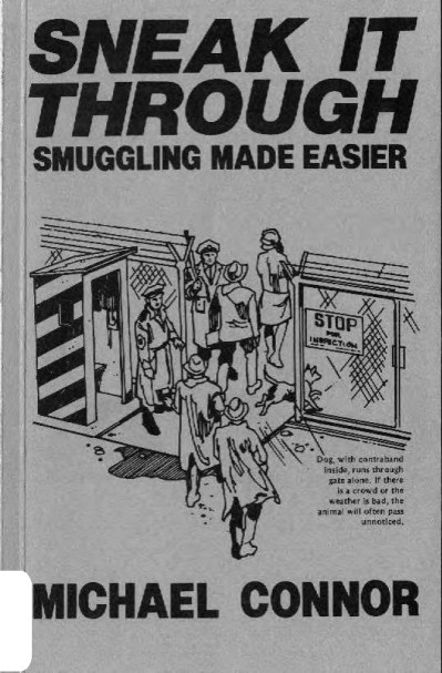 Sneak it Through cover