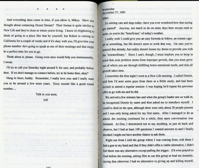 You Don't Have to Be Gay excerpt