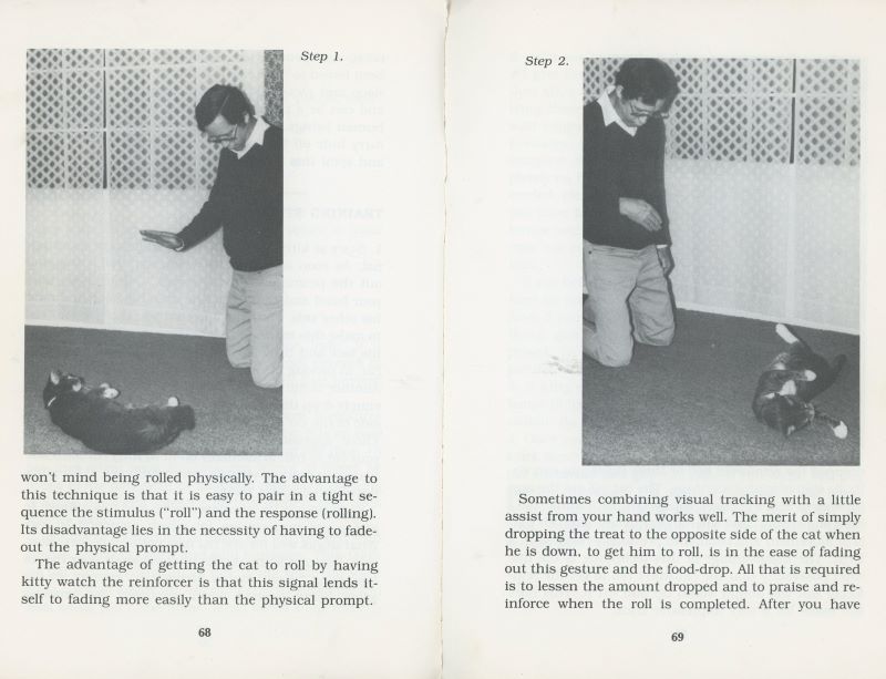 signal and procedure