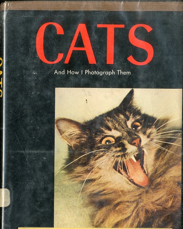 Irritating Cats: A Handbook