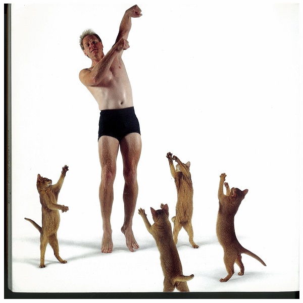 Man dances with four cats
