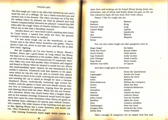 other names for cats