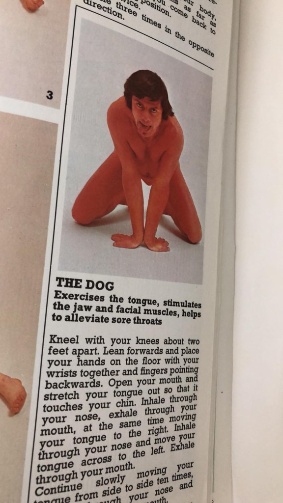 Yoga - the dog