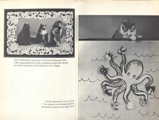 Mourka at the aquarium