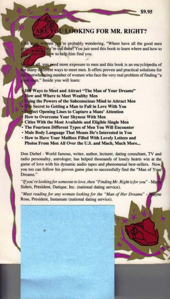 Finding Mr. Right back cover