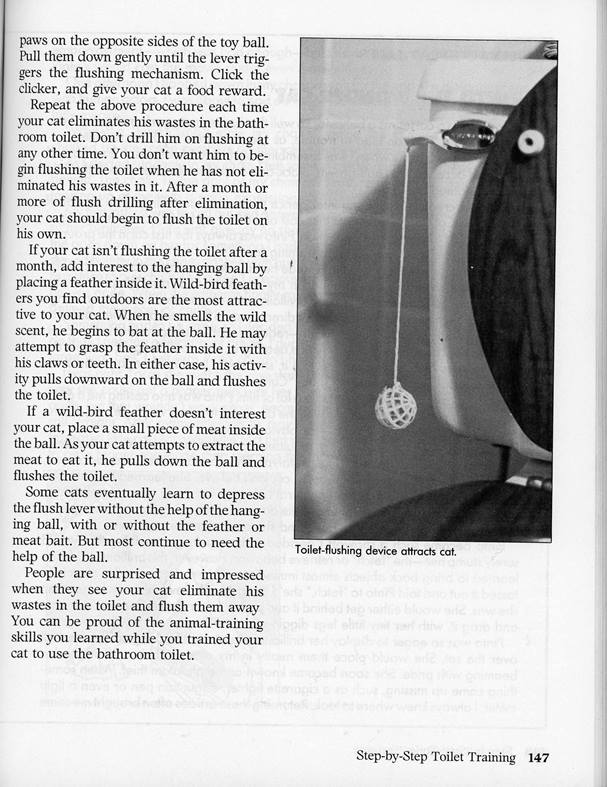 toilet training for a cat